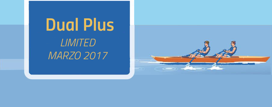 Dual Plus Limited Marzo 2017